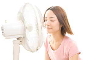 【最新版】蓄電池導入のポイントと岸和田市で選ばれる最適プラン徹底解説